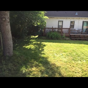 Cleanups by Nicks tree removal reviewed on October 28, 2024