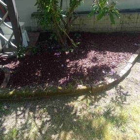 Mulching by brett b landscaping reviewed on December 16, 2024