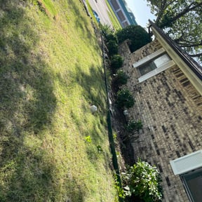 Bush Trimming by Veterans lawn services reviewed on July 12, 2022