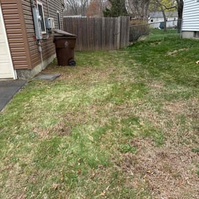 Leaf Removal by A&W Quality Lawn Care reviewed on June 17, 2022