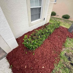 Bush Trimming by Chacon Lawn Care reviewed on May 22, 2022