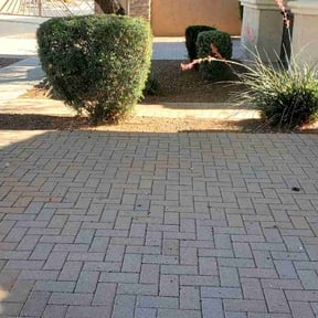 Bush Trimming by Jose Landscaping. reviewed on November 22, 2023