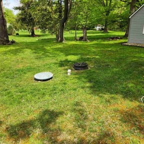 Cleanups by Castrolawns reviewed on June 24, 2022