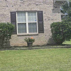 Flower Bed Weeding by None reviewed on June 12, 2022