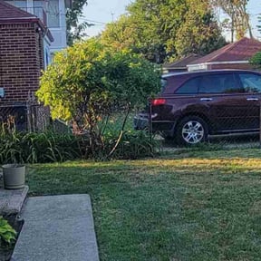 Bush Trimming by Brooks lawn Care reviewed on May 4, 2025