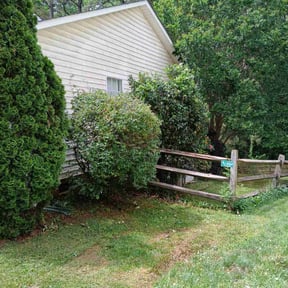 Bush Trimming by Jose Perez Landscaping reviewed on April 25, 2022