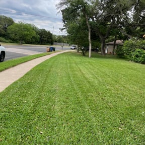 Leaf Removal by Ledezma reviewed on November 8, 2024