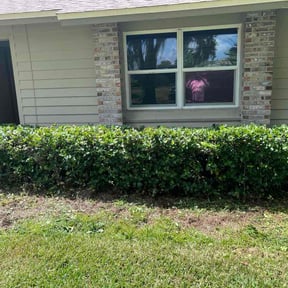 Bush Trimming by Vera Lawns reviewed on May 3, 2025