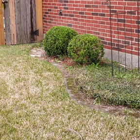 Bush Trimming by Martínez landscaping reviewed on September 14, 2024