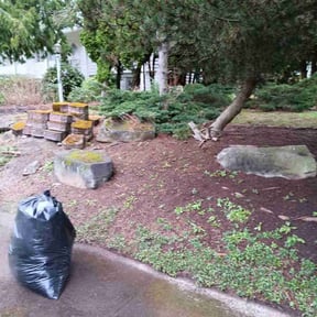 Leaf Removal by Soundview Lawn Care reviewed on May 9, 2022