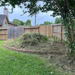 Cleanups by We Cutt Dat Lawn Care reviewed on August 15, 2024