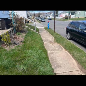 Leaf Removal by TFR Landscaping reviewed on July 21, 2022