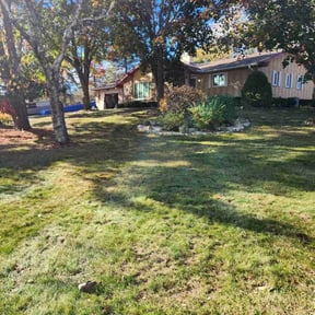 Leaf Removal by Livery Services LTD, llc reviewed on October 12, 2022