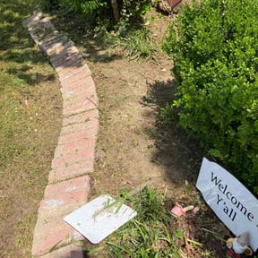 Flower Bed Weeding by Lawn In Order reviewed on June 23, 2022