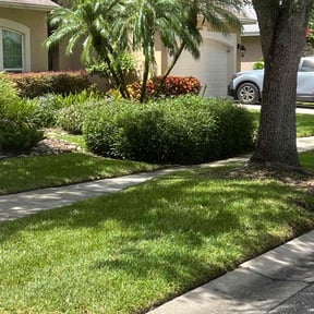 Bush Trimming by Thatsmydadlawncarellc reviewed on August 21, 2024