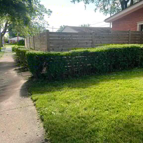 Bush Trimming by PWS lawn care reviewed on July 15, 2022