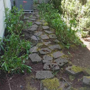 Leaf Removal by The Goat Lawn Care reviewed on July 11, 2022