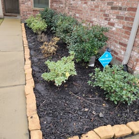 Flower Bed Weeding by Reimagine lawn service reviewed on April 23, 2025