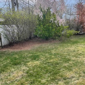Leaf Removal by Blue Lagoon Lawn Service reviewed on August 17, 2021