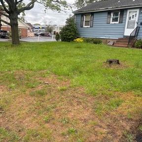 Leaf Removal by A&j lawn care service reviewed on August 9, 2022