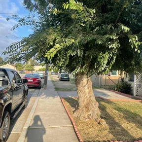 Cleanups by T1he Lawn Whisperer reviewed on May 17, 2022