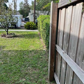 Bush Trimming by P&D Landscaping. reviewed on April 3, 2025