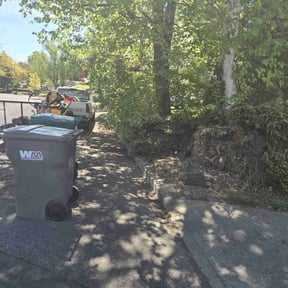 Leaf Removal by Greg's lawns reviewed on October 7, 2020