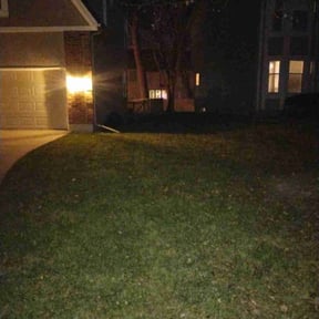 Leaf Removal by Soundview Lawn Care reviewed on June 21, 2022