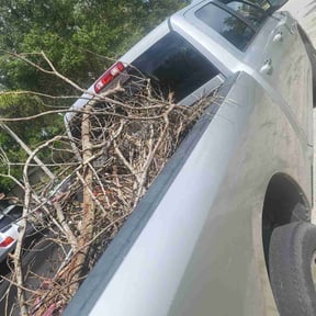 Cleanups by Parker Landscape & Maintenance reviewed on February 23, 2022