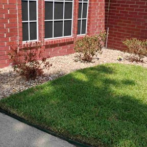 Flower Bed Weeding by Triple "s" services reviewed on May 28, 2025