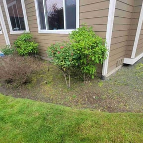 Cleanups by MCC Property Preservationr reviewed on March 25, 2022