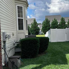 Bush Trimming by Pearl&#039;s Cleaning Angels reviewed on May 2, 2025