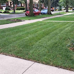 Cleanups by CS Landscaping & Construction reviewed on November 16, 2021