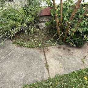 Flower Bed Weeding by Perez cuts reviewed on December 7, 2023