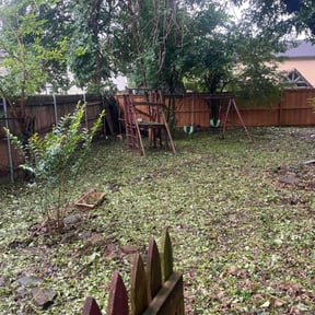 Cleanups by Caesar’s Premier Landscaping reviewed on June 1, 2022