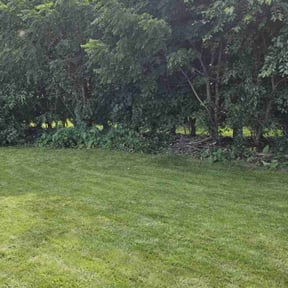Flower Bed Weeding by Sifu Lawn and Services reviewed on February 9, 2022