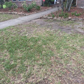 Leaf Removal by Bowie made business llc reviewed on June 27, 2025