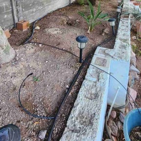 Leaf Removal by MNS Services reviewed on May 28, 2022