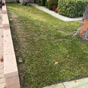 Weeding by james lawn service reviewed on June 22, 2022