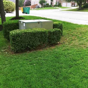 Bush Trimming by A&L Lawncare reviewed on June 27, 2022