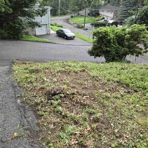 Leaf Removal by ARTHURS LAWN AND LANDSCAPE reviewed on July 29, 2022