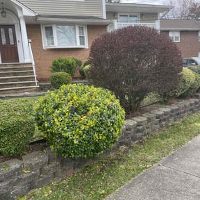 Bush Trimming by Juan Rodriguez reviewed on April 6, 2022