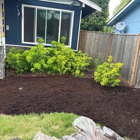 Mulching by 3D Jayson Jr Grading &Lawncare reviewed on June 3, 2022