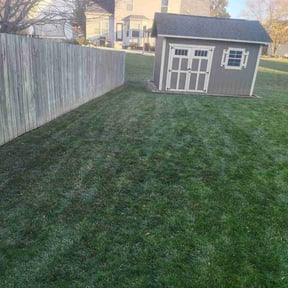 Leaf Removal by Mr.Carter's Landscaping reviewed on June 6, 2022