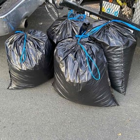 Leaf Removal by Nicks tree removal reviewed on October 28, 2024