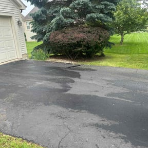 Bush Trimming by jerrys lawns service reviewed on July 8, 2022