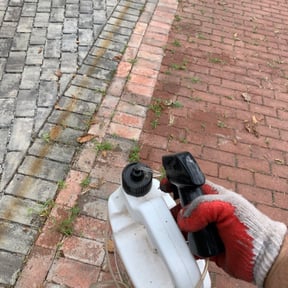 Flower Bed Weeding by Jmm reviewed on June 19, 2025