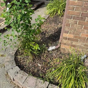 Flower Bed Weeding by Rich Evergreen Mindful Lawn Care reviewed on August 29, 2024