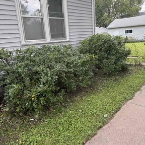 Bush Trimming by Midwest Ecoscapes reviewed on April 13, 2025