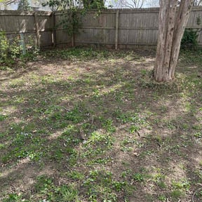 Cleanups by A&A Lawn & Landscape reviewed on June 10, 2022